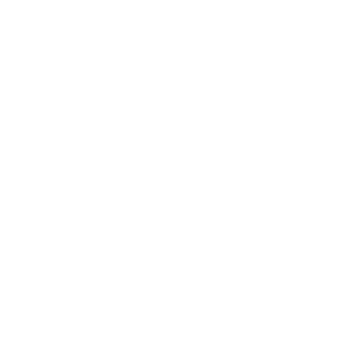 ADI Immigration 